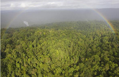 Van fsc.org